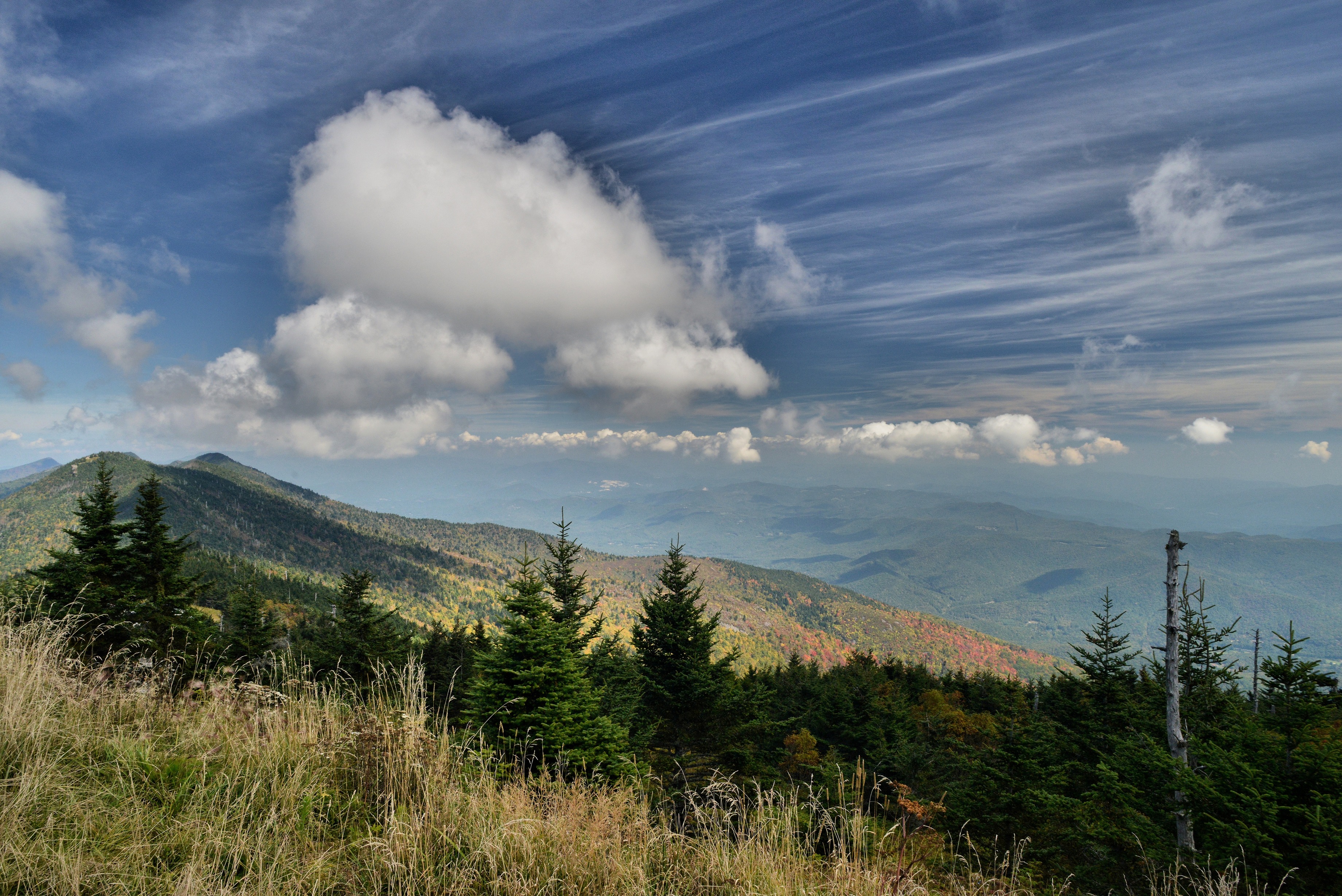 Mt. Craig and Balsam Cone