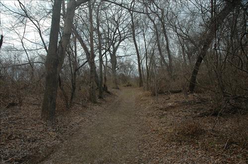 Repair and Stabilize Kenilworth Park Trail System