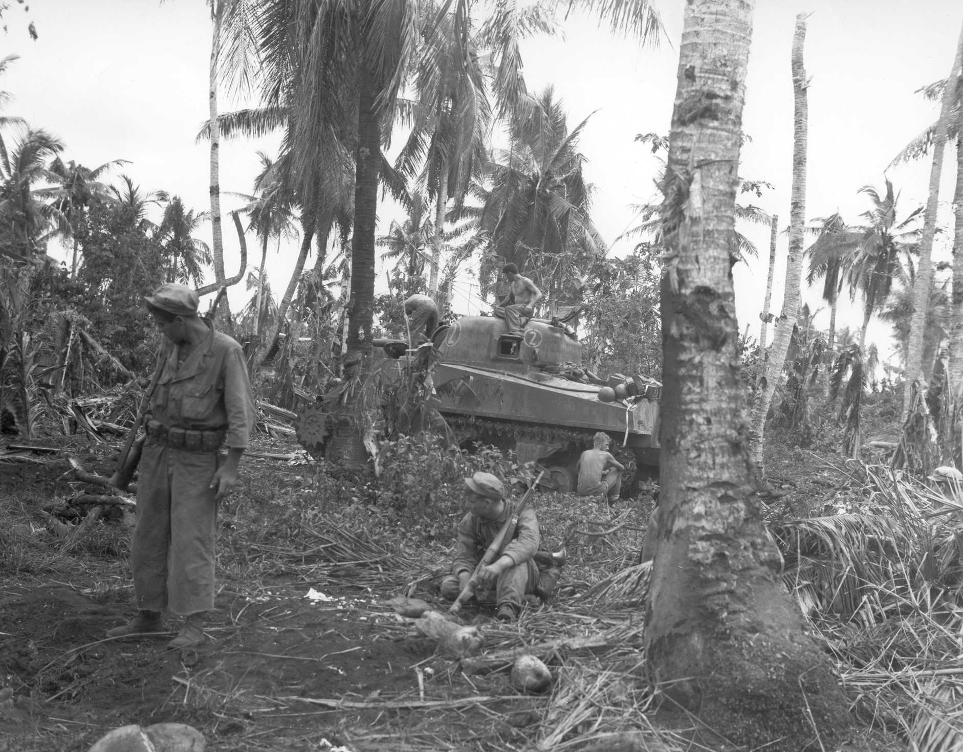 Soldiers in a tropical jungle prepare for action near a tank, surrounded by palm trees and dense vegetation.