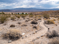 Winding trail lined with rocks and mountains in background