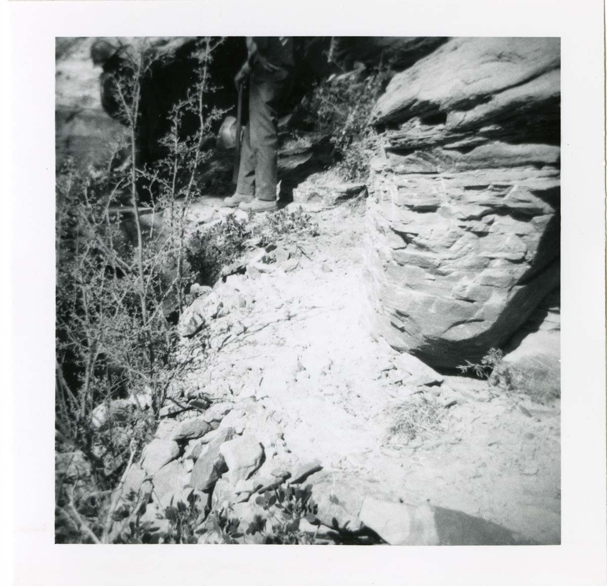 Hidden Canyon trail damage and repairs.