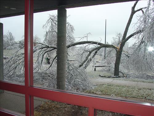 Wilson's Creek National Battlefield Ice Storm, January 2007, Before and During Clean Up
