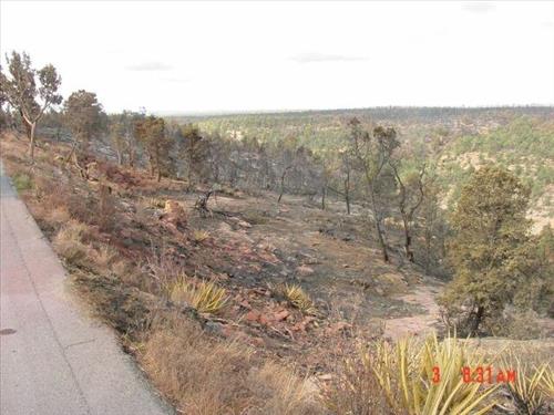 Canyon burn areas depicted in surface photos in the aftermath of the Long Mesa Fire, Mesa Verde National Park, August 2002
