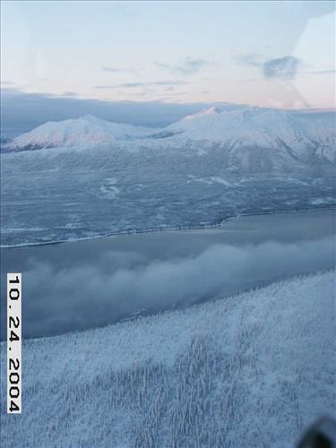 8 Gates of the Arctic National Park and Preserve Koyukuk Moose Survey 2004