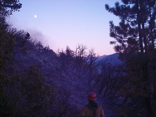 North wildfire, Sequoia and Kings Canyon National Parks, summer 2004