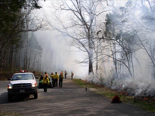 Jim Lee Prescribed burn, Mammoth Cave National Park, 2004