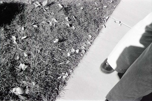 BW Photos of the Zion Lodge Rededication Ceremony.