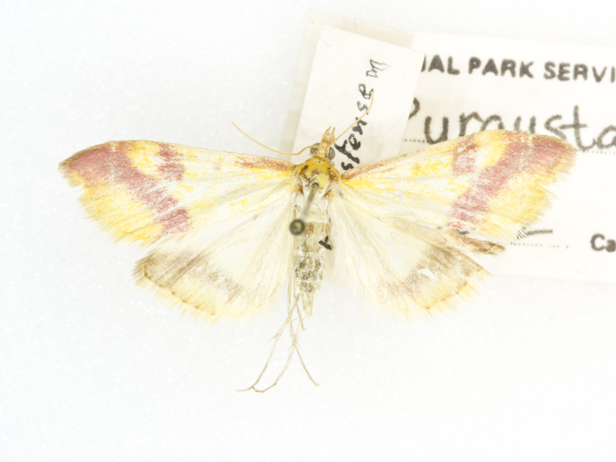 Grand Canyon Museum Collection
Address: 2 Albright Ave, Grand Canyon Village, AZ 86023
Phone: (928) 638-7769