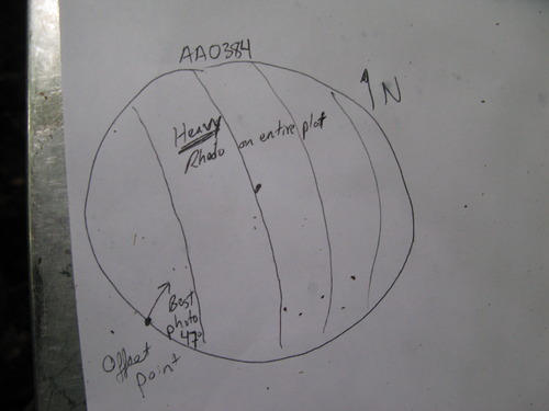 GRSM Accuracy Assessment. Plot Code: GRSM_AA_0384_7