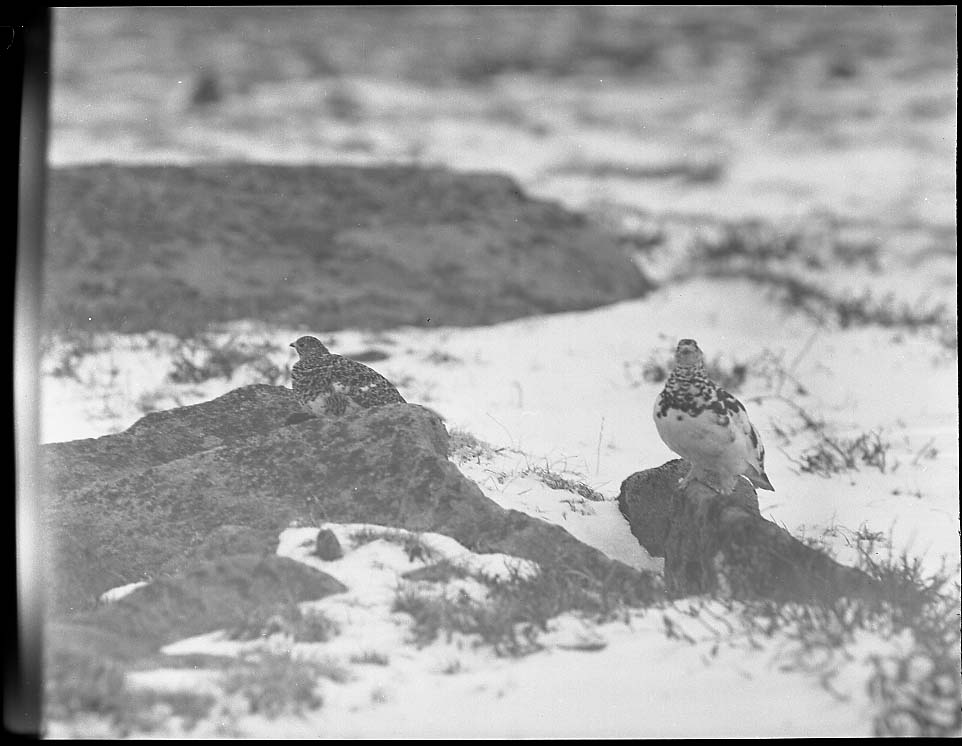 Rocky Mountain National Park