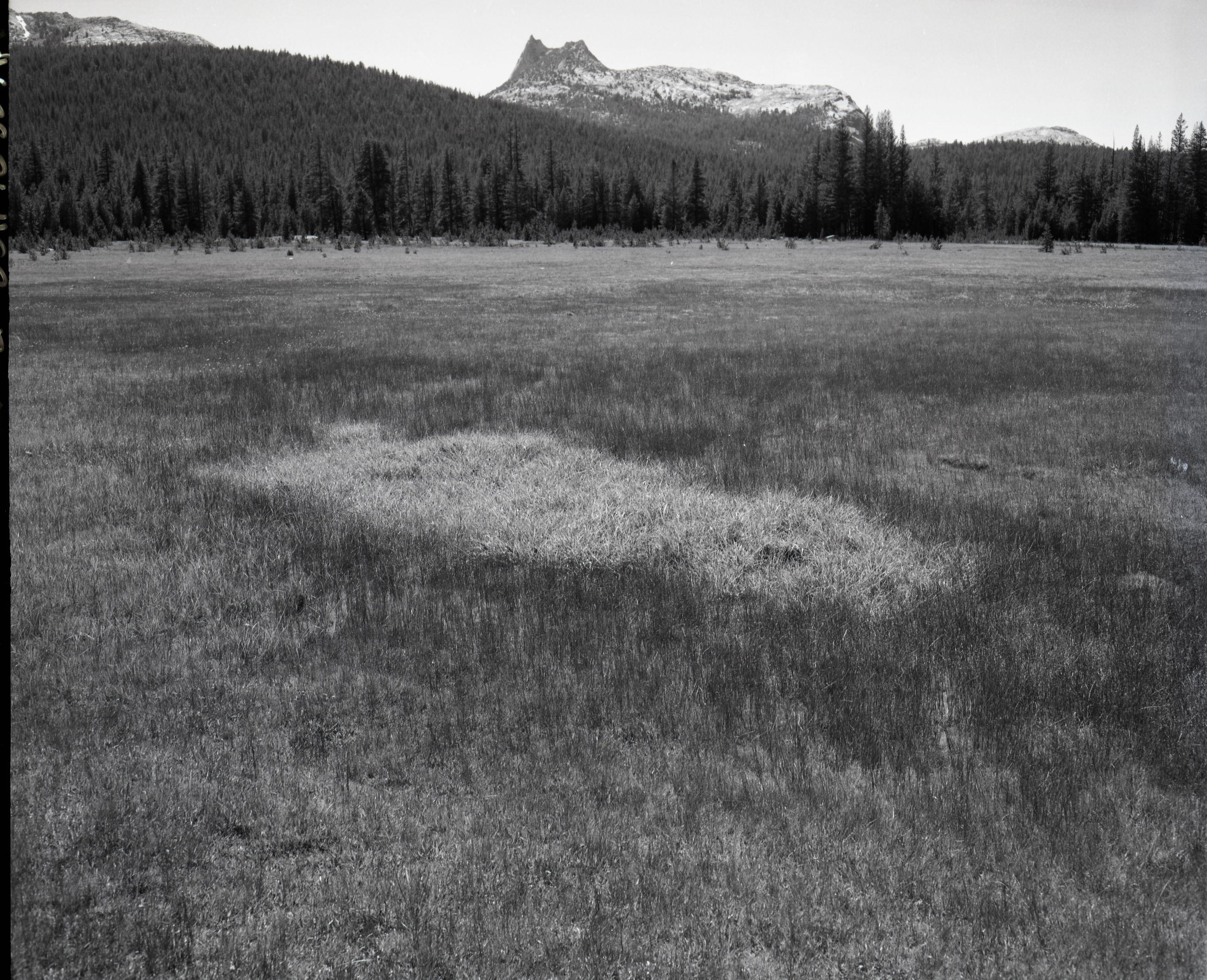 Cathedral Peak, emphasizing meadows - Tuolumne Meadows.