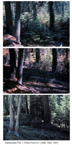 Fire plots revisited after 30 years in Kings Canyon backcountry, Sequoia and Kings Canyon National Parks, 1968-1997