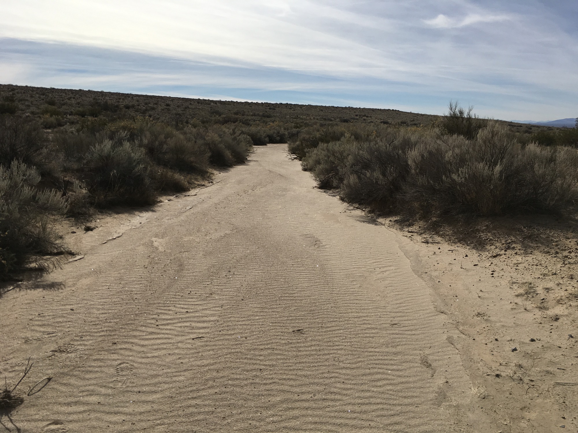 A sand road in the desert with bushes in the background.