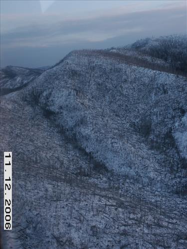 2 Yukon-Charley Rivers National Preserve Moose Survey November 2006