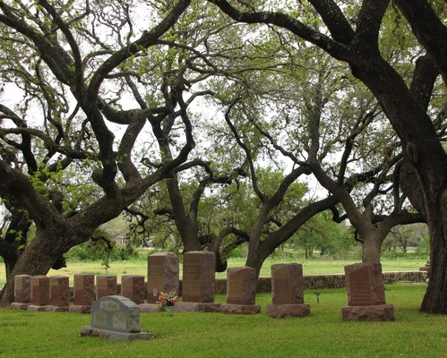 A line of granite headstones lie underneath numerous, long branches of live oak trees.