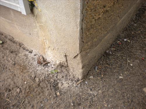 KEAQ-Existing Conditions Aquatic Greenhouses 1,2 & 3 March 4, 2011