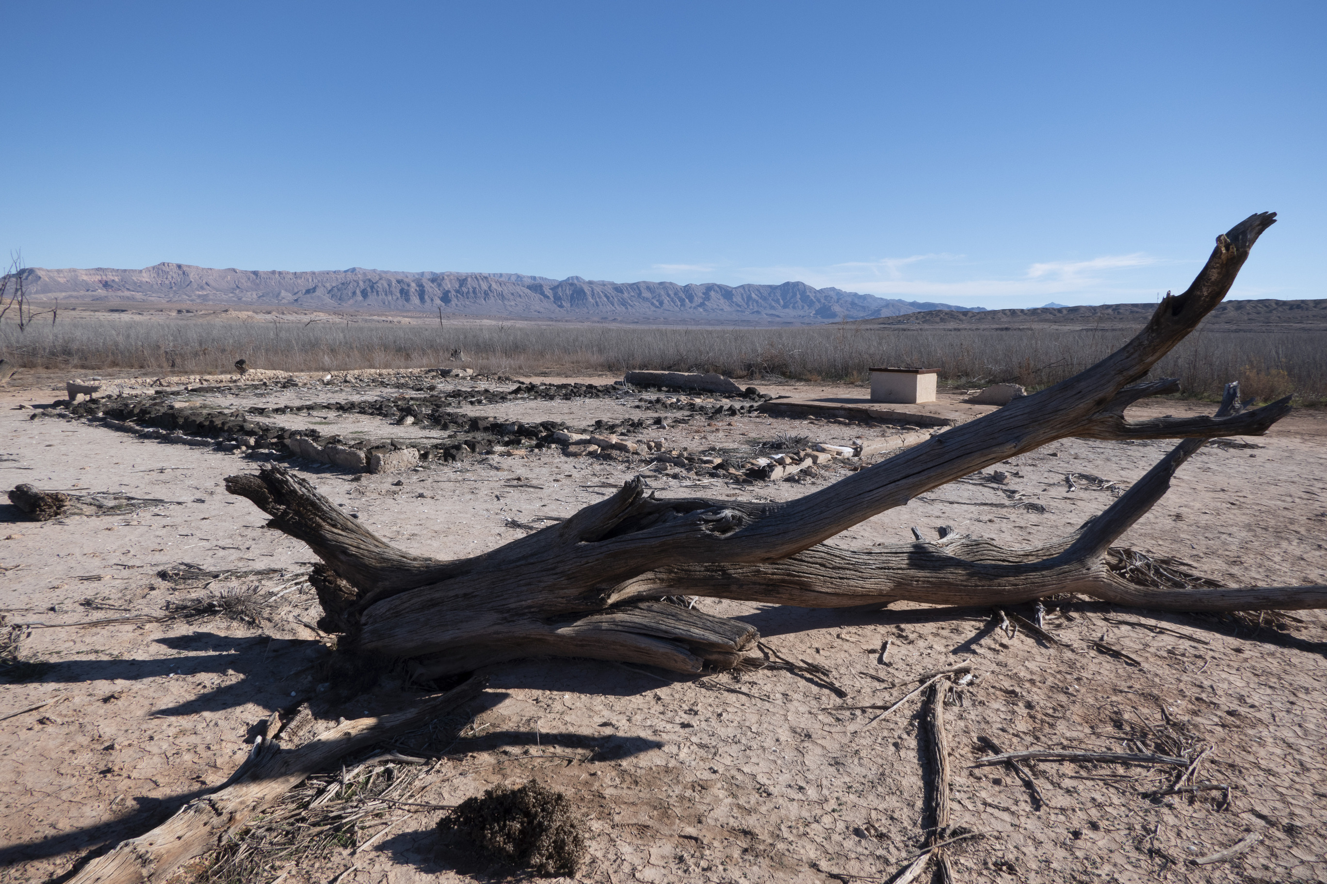 toppled limbless tree, foundation remains and mountains in distance