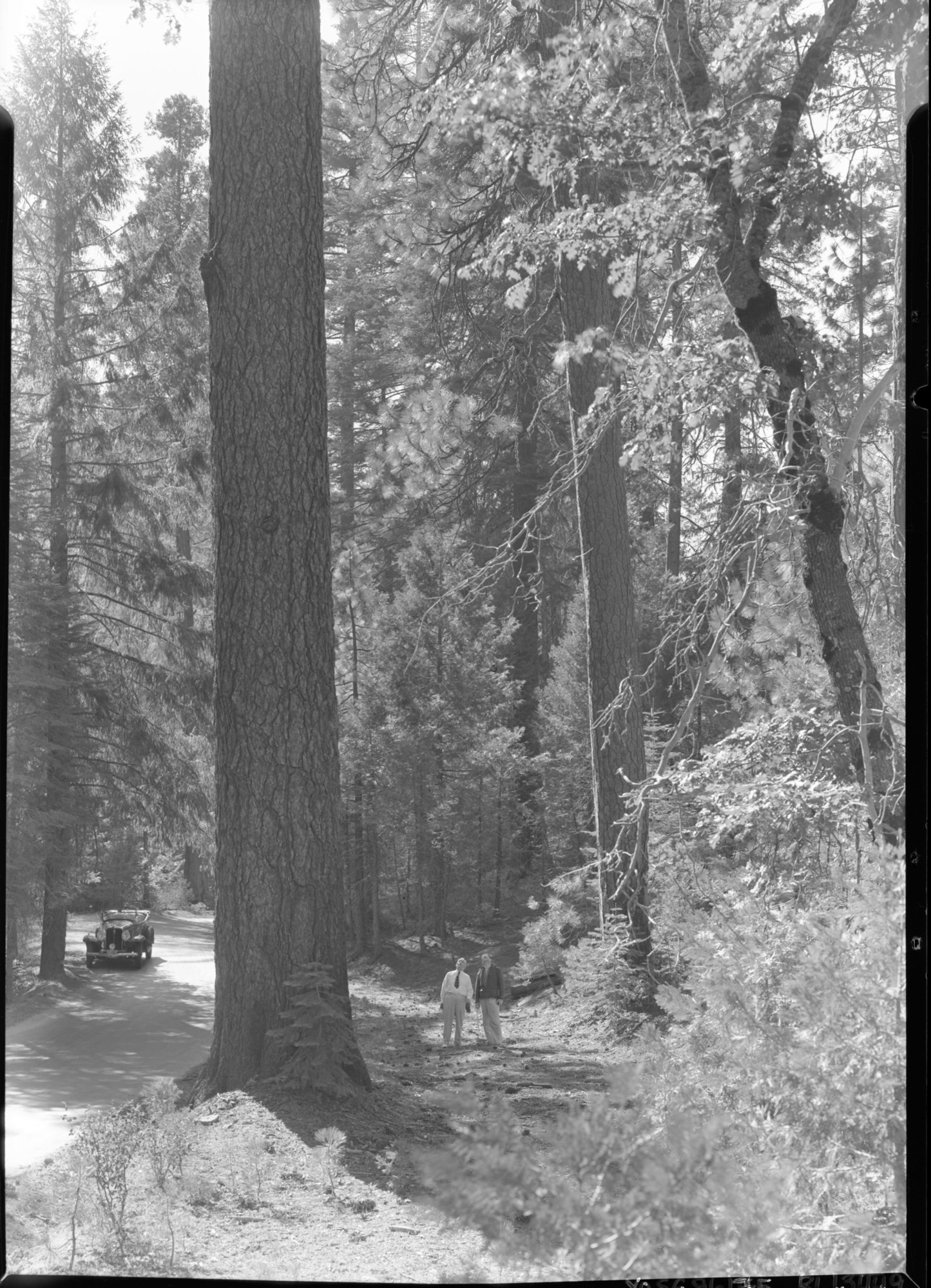 Congressman Chas. Kramer, 13th Dist. and Gordon L. McDonough, L.A. County Supervisor in proposed Carl Inn Addition to Yosemite.