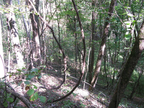 GRSM Accuracy Assessment. Plot Code: GRSM_AA_0037_3