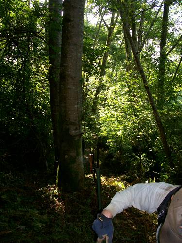 Orick Hill Fence Repair 2010