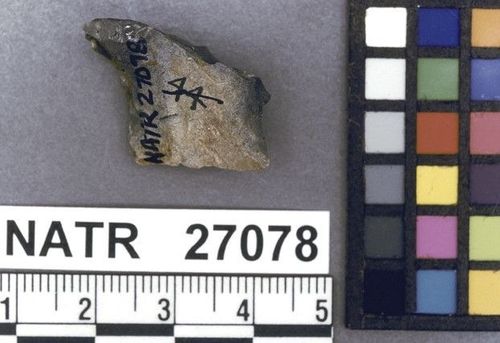 NATR   27078 -- Untyped projectile point
