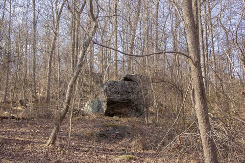A large boulder sits in the middle of dense trees and undergrowth.