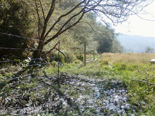 Orick Valley Elk Fence Condition