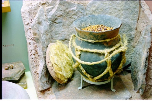 Color photos of prehistoric jar (North Creek Gray) display.