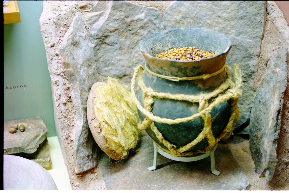 Color photos of prehistoric jar (North Creek Gray) display.