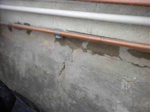 KEAQ-Existing Conditions Aquatic Greenhouses 1,2 & 3 March 4, 2011