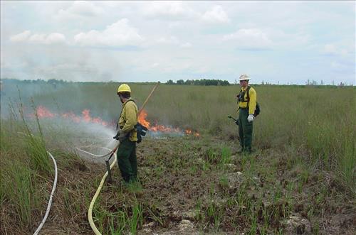 Firefighters on prescribed burns in Everglades NP 2002