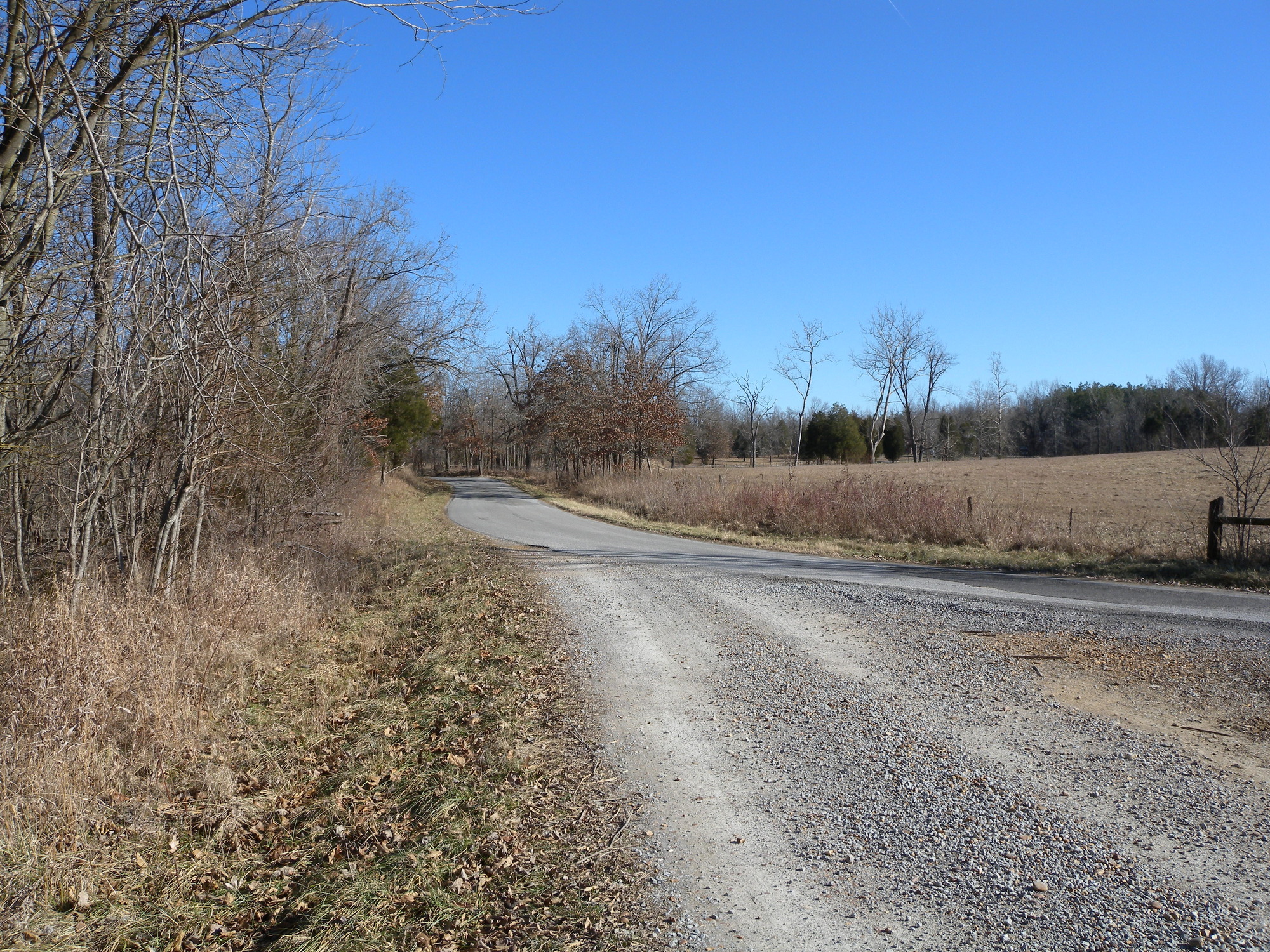 A dirt road in the middle of a field.