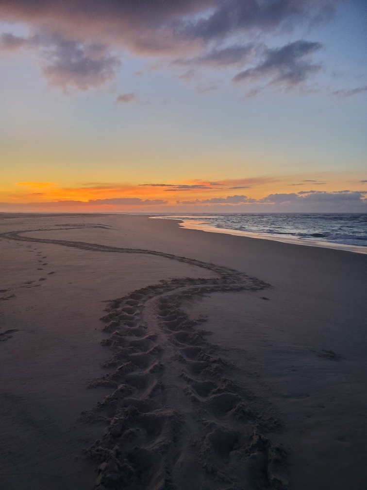 Very long false crawl on the southern tip of South Point (shown here is only third of the crawl).