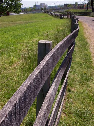 OXCO-Buildings and Structures at Oxon Cove Park, May 26, 2008