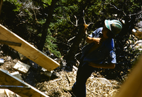 HFCA 1607_Special Events And VIPS Volume 1_367.jpg. YCC worker working in Acadia National Park.