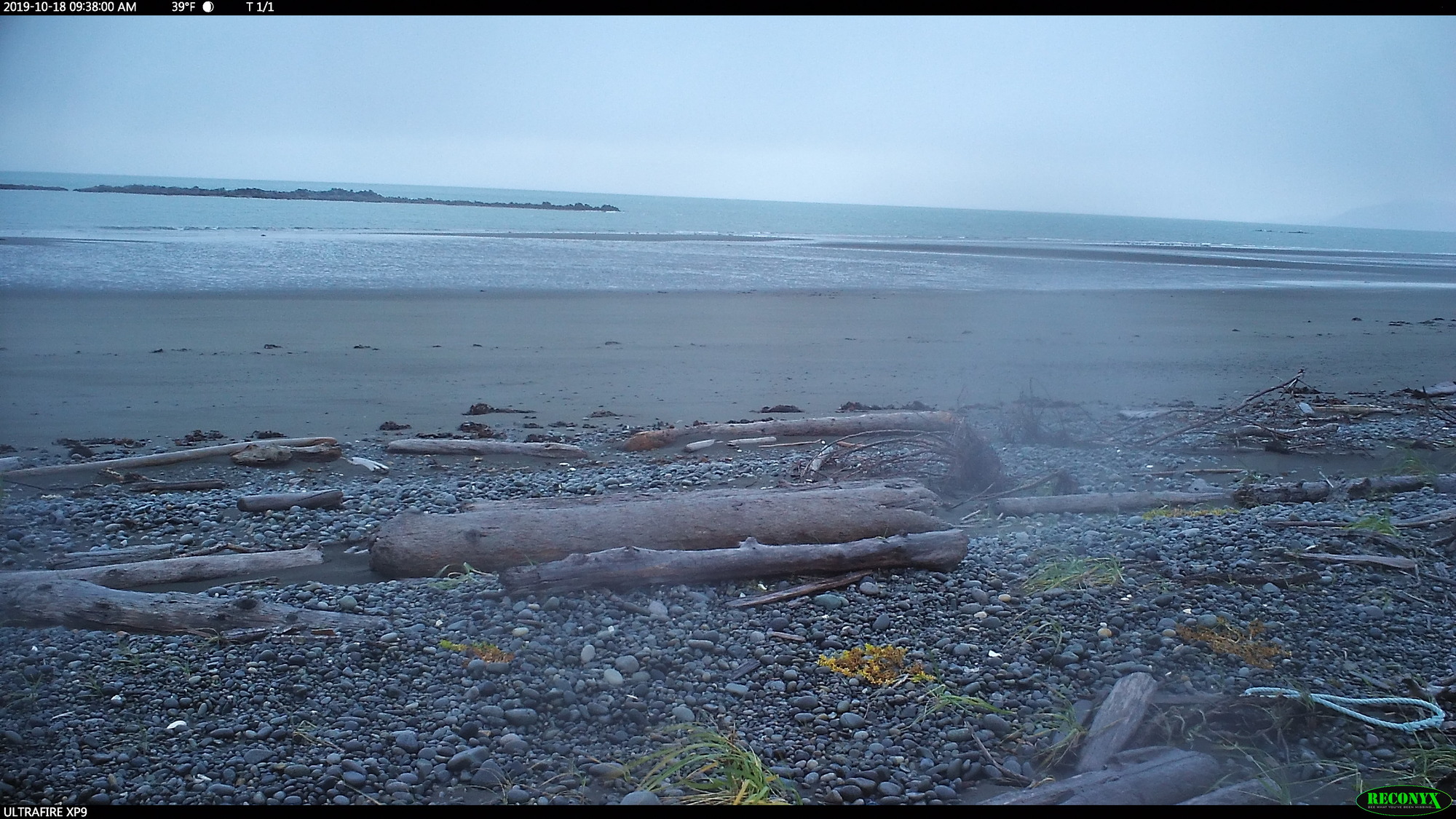 photo data from Katmai National Park. Data accompanies manuscript "Wolves on the Katmai coast hunt sea otters and harbor seals"
