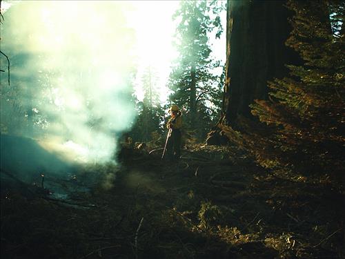 Giant wildfire used for resource benefit, Sequoia and Kings Canyon National Parks, summer 2003