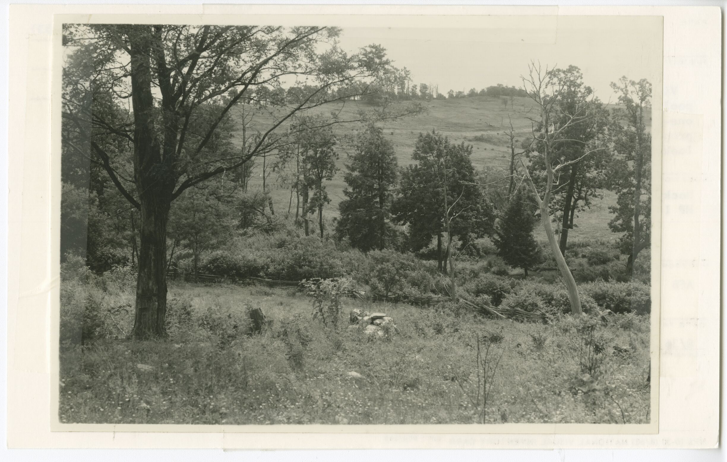 View of proposed swimming pool area