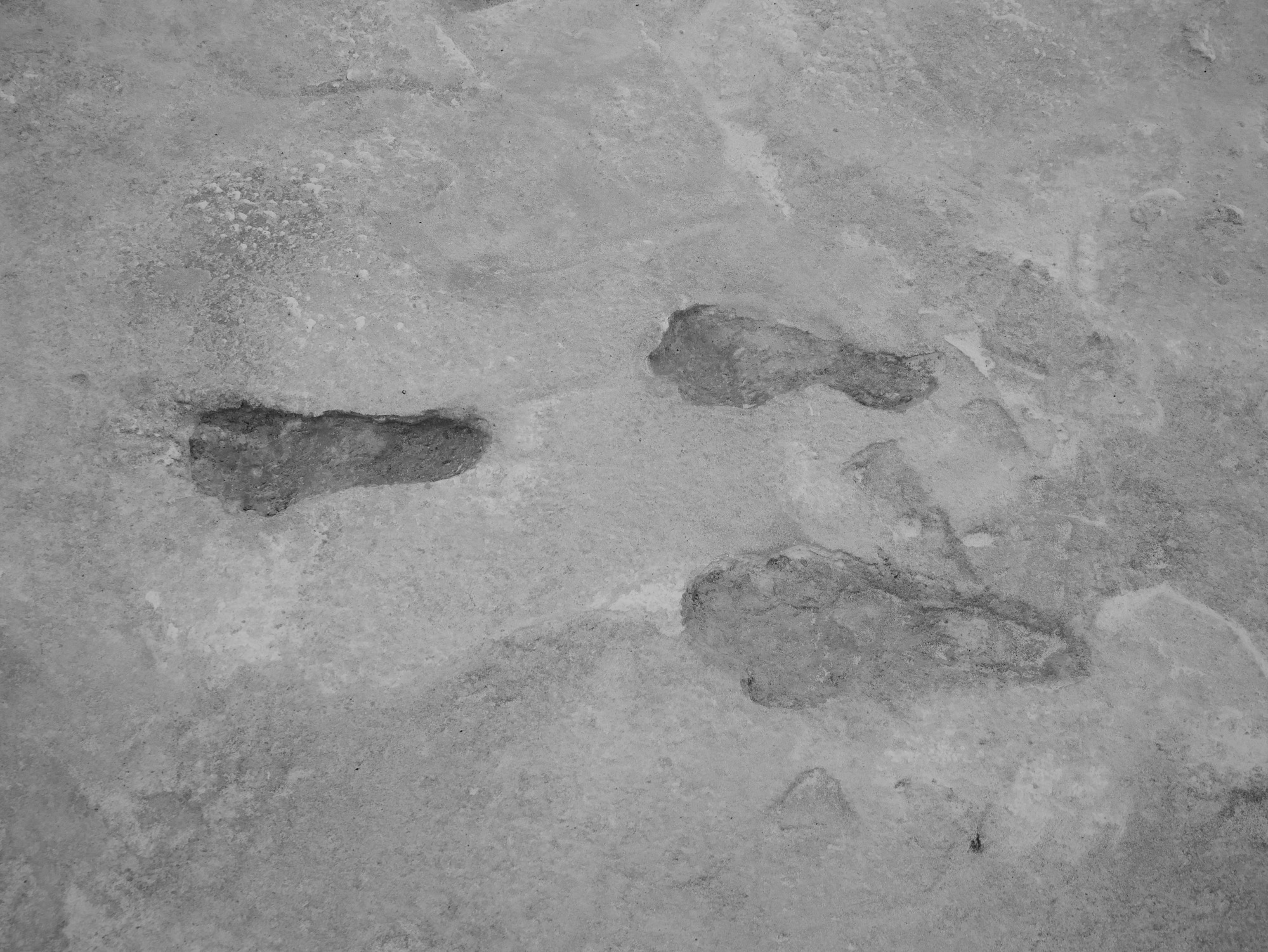 Aerial image of three fossilized human footprints in black and white. 