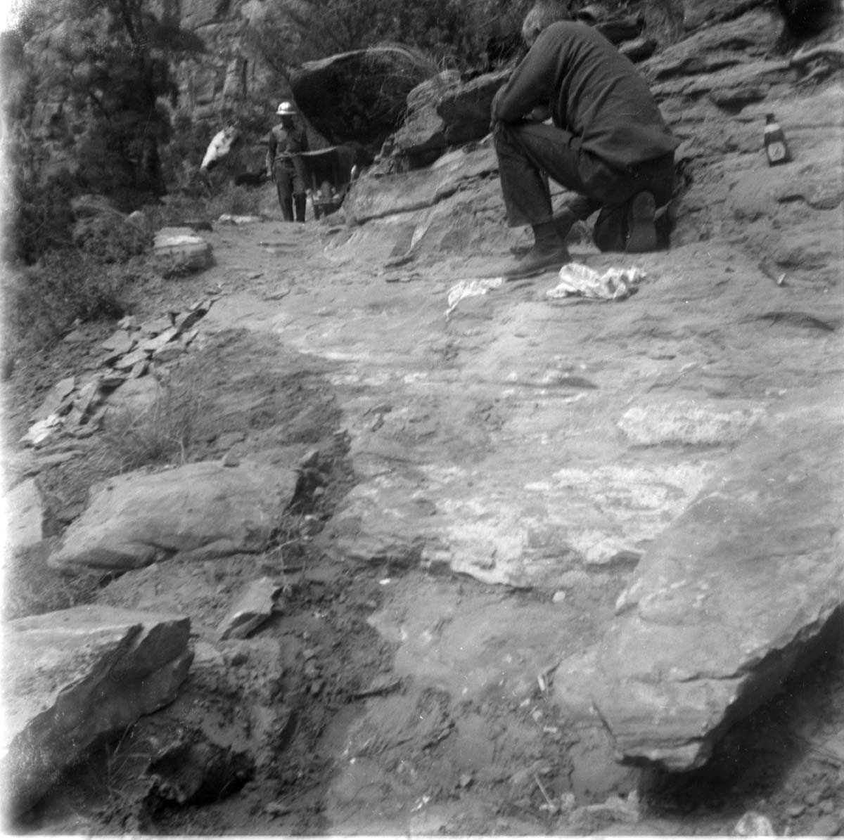 NPS personnel working during the Emerald Pool trail reconstruction.