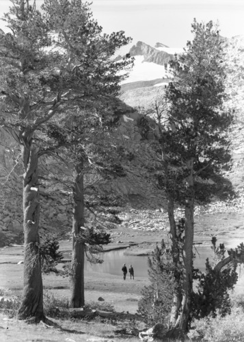 Lyell Base Camp (C.A. Harwell and Dr. Fryell).