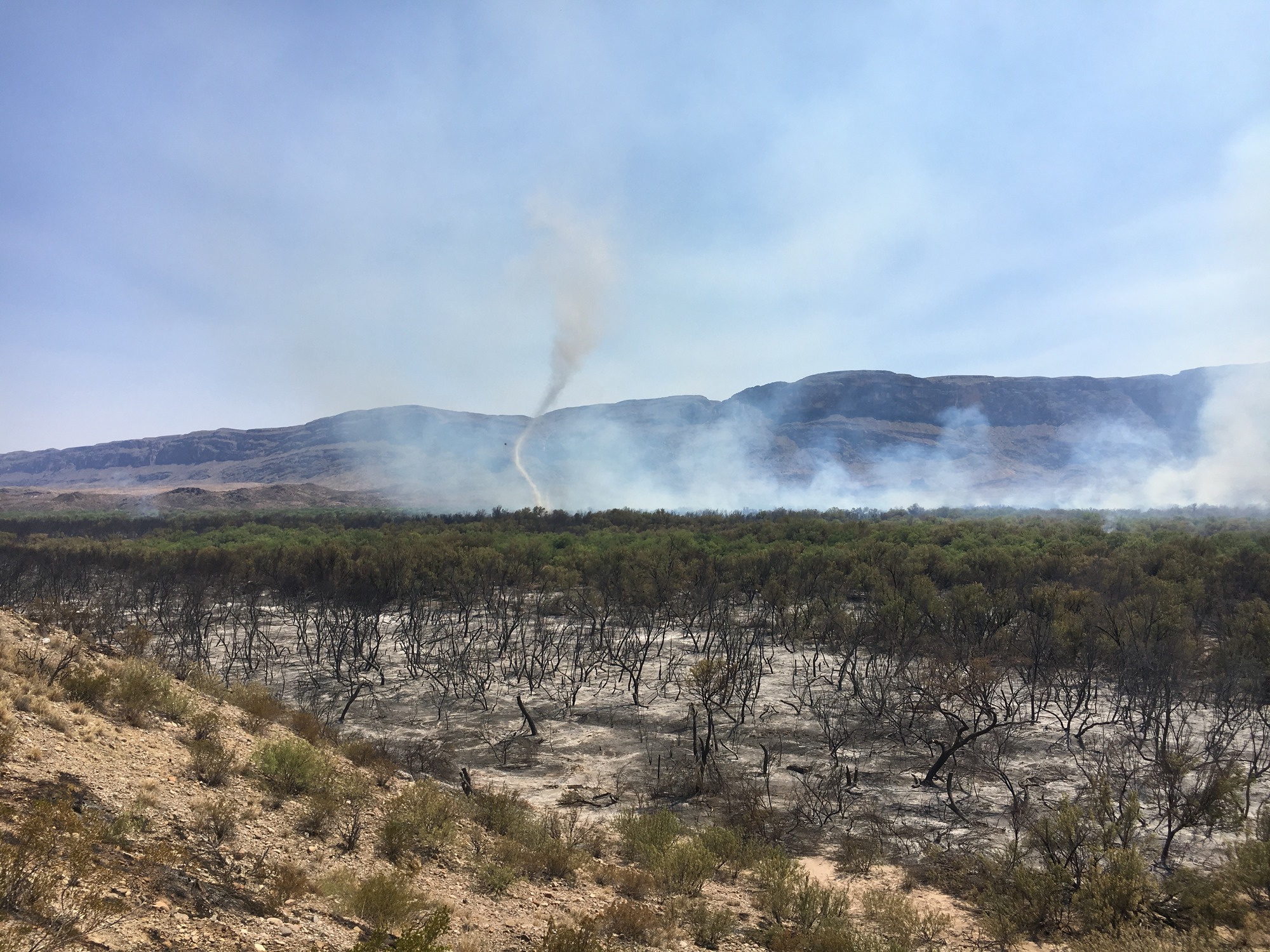 Fire burning in thick mesquite along the river.