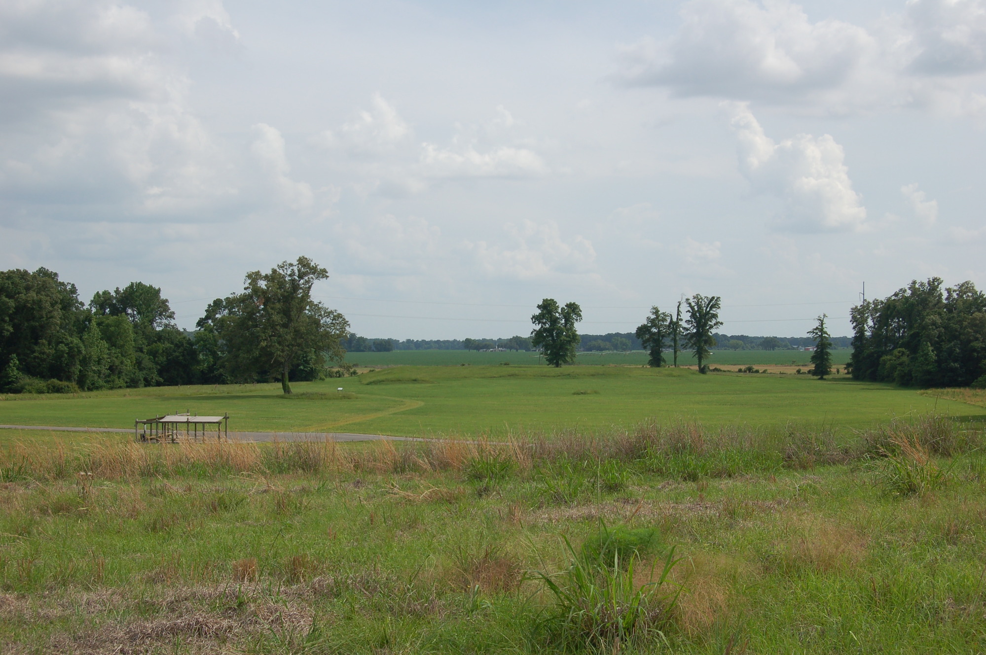 A landscape view of a grassy field from the top of a hill.