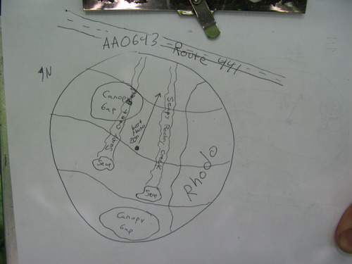 GRSM Accuracy Assessment. Plot Code: GRSM_AA_0643