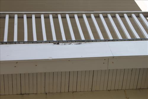 Bachlott House Exterior Paint, Cumberland Island National Seashore Sept. 2010