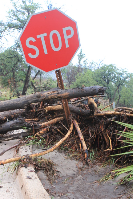 Stop sign with logs and other debris piled high around it. 