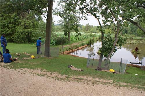 Restore Historic Dikes and Ponds at Kenilworth Aquatic Gardens in June 2010