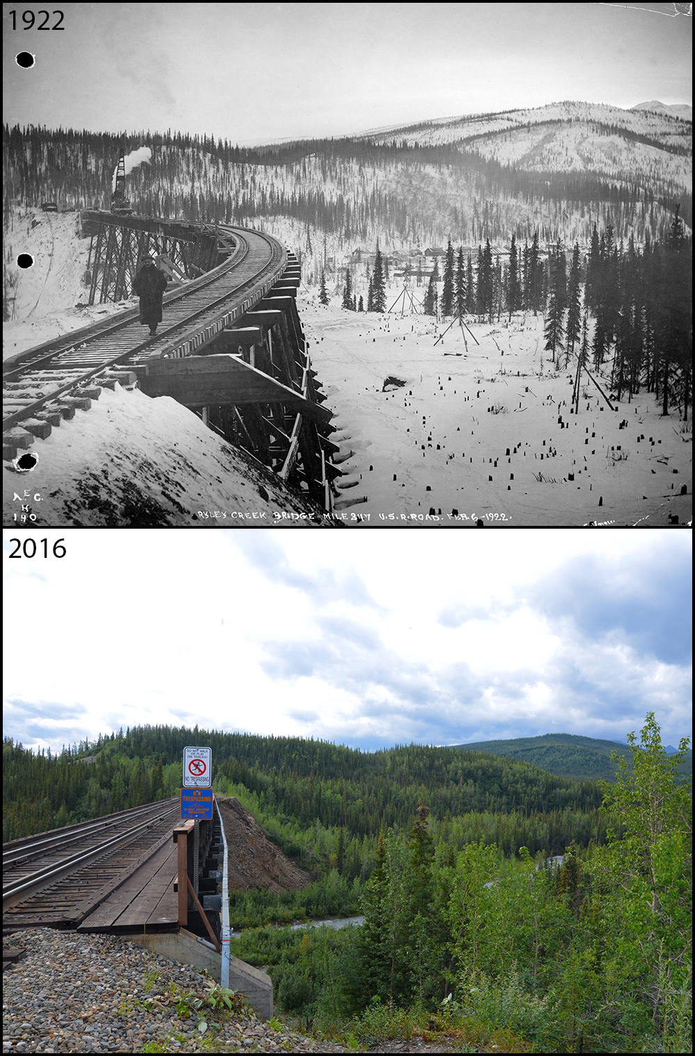 A photo pair showing Increasing vegetation on river bars at Riley Creek: 1922-2016
