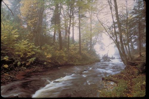 Views at Pictured Rocks National Lakeshore, Michigan