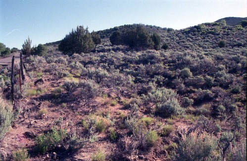 Color Photos of Cave Valley area.